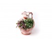Small Composition with plants in a clay pot